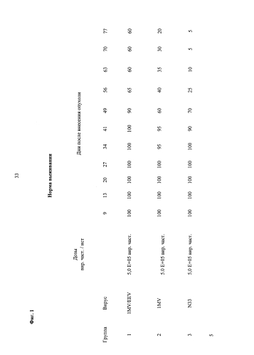 Процесс получения поксвирусов и композиции поксвирусов (патент 2581910)