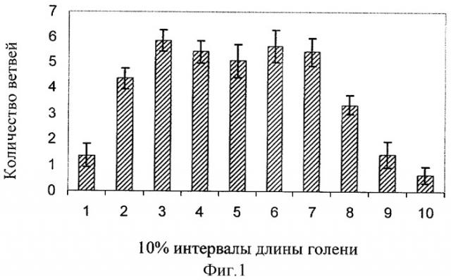 Способ замещения ограниченных остеомиелитических дефектов нижней трети большеберцовой кости мышечным лоскутом на проксимальной питающей ножке (патент 2303415)