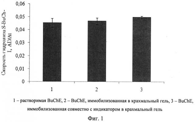 Ферментный препарат на основе иммобилизованной бутирилхолинэстеразы и способ его приготовления (патент 2546245)