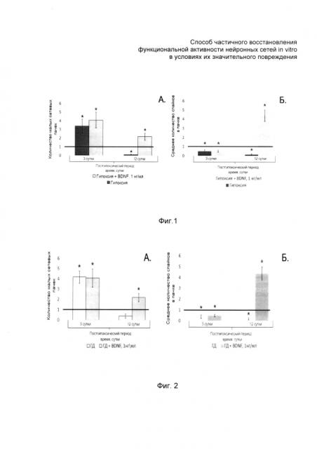 Способ частичного восстановления функциональной активности нейронных сетей in vitro в условиях их значительного повреждения (патент 2594065)