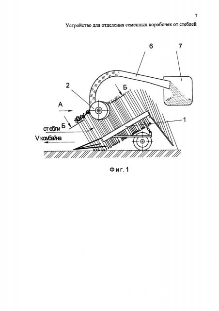Устройство для отделения семенных коробочек от стеблей (патент 2599567)