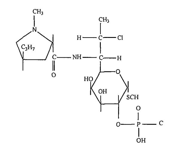 Фармацевтические композиции местного применения, содержащие противоугревое соединение и антибиотическое соединение (патент 2404759)