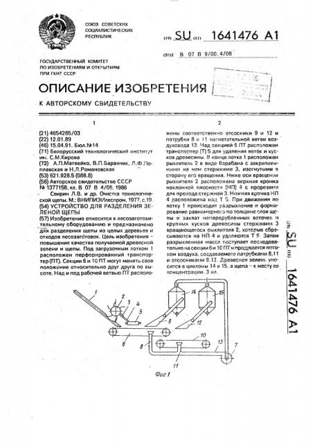 Устройство для разделения зеленой щепы (патент 1641476)