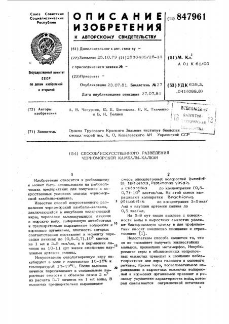 Способ искусственного разведениячерноморской камбалы-калкан (патент 847961)