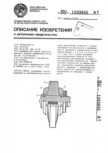 Щетка (патент 1233855)