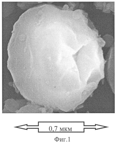 Способ получения биосовместимых фторполимерных покрытий на изделиях из нитинола (патент 2316357)