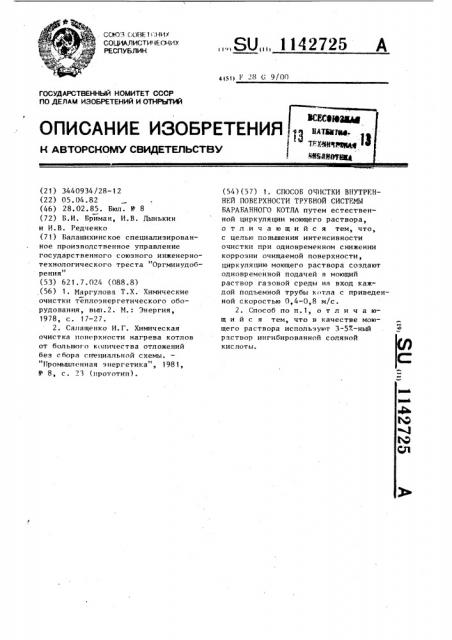 Способ очистки внутренней поверхности трубной системы барабанного котла (патент 1142725)