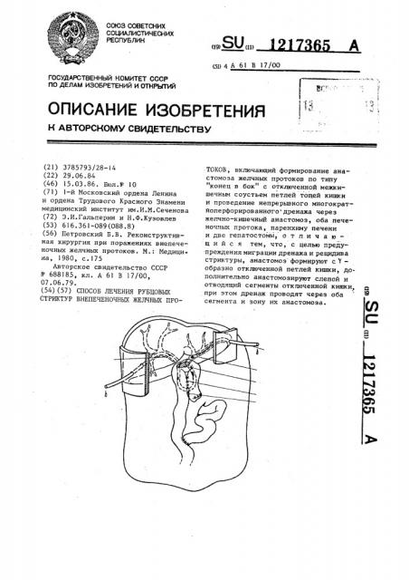 Способ лечения рубцовых структур внепеченочных желчных протоков (патент 1217365)