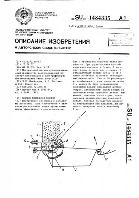 Способ кормления свиней (патент 1484335)