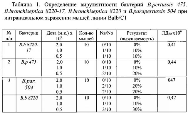 Способ оценки защитной активности коклюшных вакцин (патент 2623314)