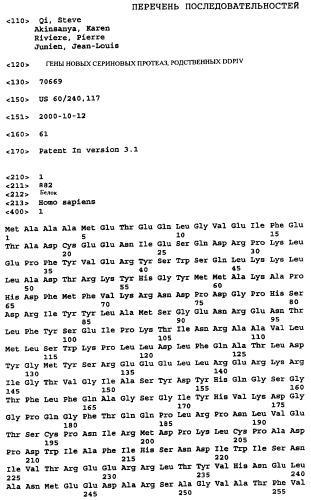 Ген новой сериновой протеазы, родственной dppiv (патент 2305133)