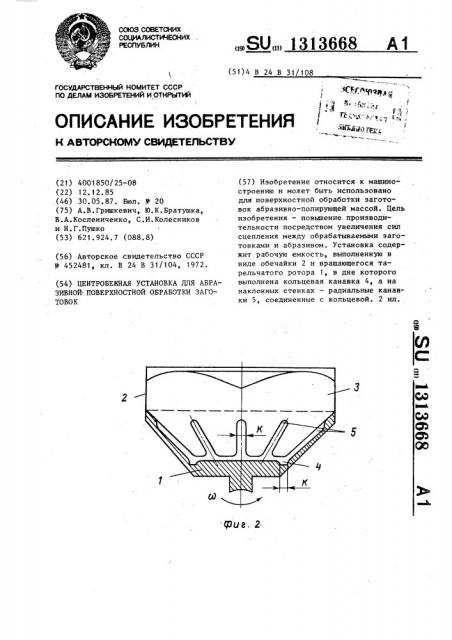 Центробежная установка для абразивной поверхностной обработки заготовок (патент 1313668)