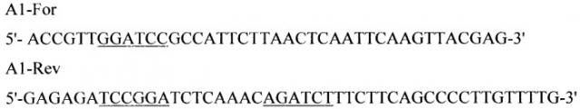 Рекомбинантная плазмида pd1spgbd, штамм escherichia coli - продуцент рекомбинантного белка d1-gbd, рекомбинантный белок d1-gbd и способ его получения, способ исследования связывания белка d1-gbd с антителами сывороток больных, способ получения специфических антител к белку d1-gbd (патент 2401302)