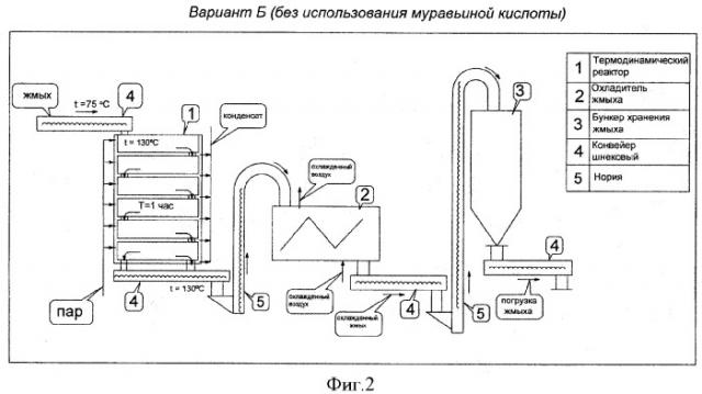 Способ получения белкового корма (варианты) (патент 2360431)