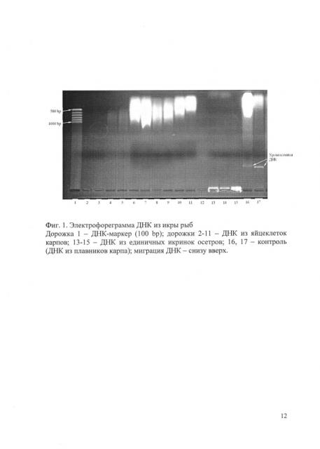 Способ получения днк из яйцеклеток рыб (патент 2632649)