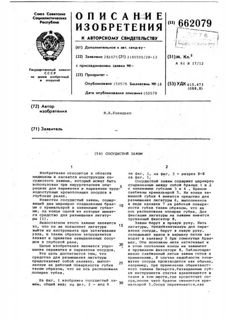 Сосудистый зажим (патент 662079)
