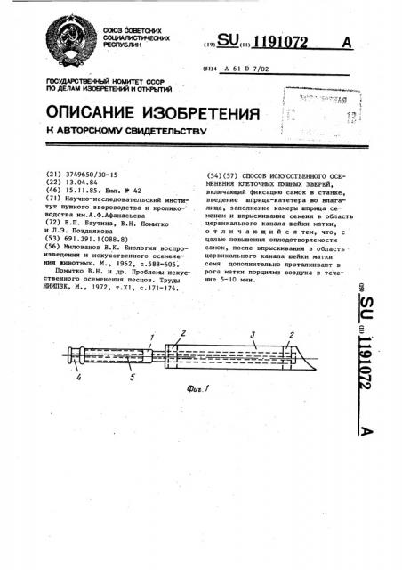 Способ искусственного осеменения клеточных пушных зверей (патент 1191072)