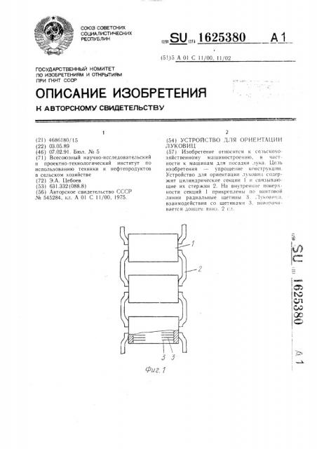 Устройство для ориентации луковиц (патент 1625380)