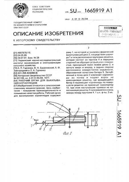 Рабочий орган для выкапывания корнеплодов (патент 1665919)