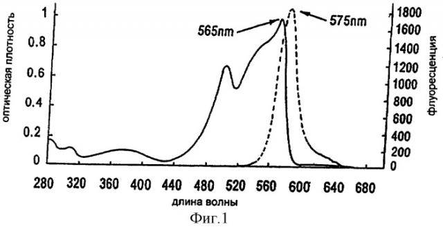 Способ и устройство для получения фикоэритрина с высокой оптической плотностью (патент 2315094)