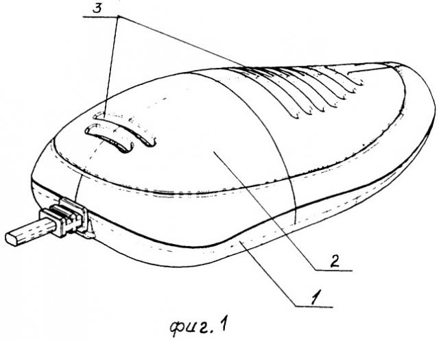 Способ противогрибковой и антибактериальной сушки обуви (патент 2275840)