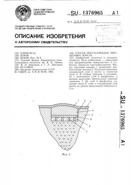 Способ рекультивации нарушенных земель (патент 1376965)