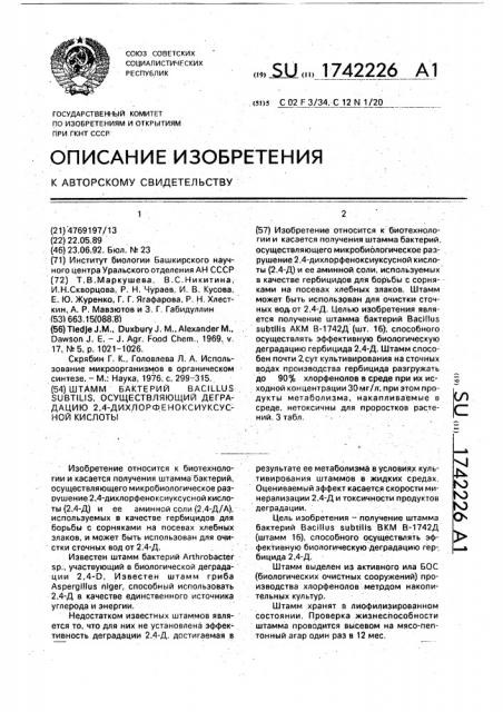 Штамм бактерий bacillus suвfilis, осуществляющий деградацию 2,4-дихлорфеноксиуксусной кислоты (патент 1742226)