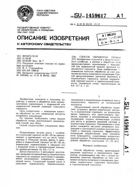 Способ обработки почвы (патент 1459617)