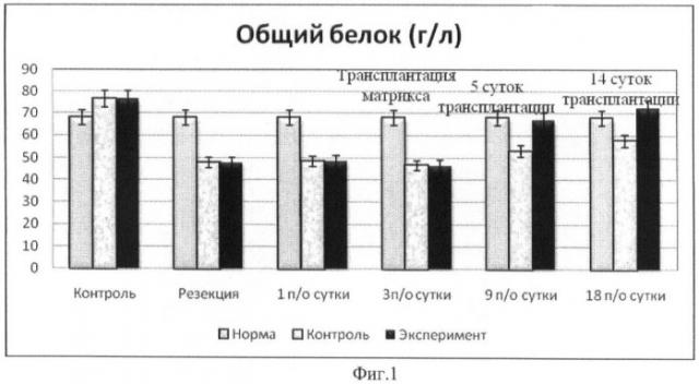 Способ и трансплантат для лечения печеночной недостаточности (патент 2425647)