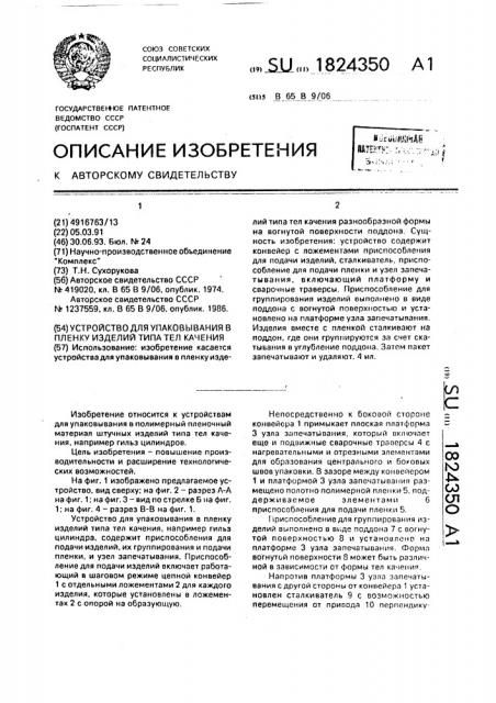 Устройство для упаковывания в пленку изделий типа тел качения (патент 1824350)