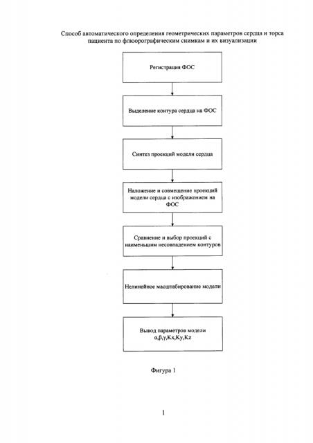 Способ автоматического определения геометрических параметров сердца и торса пациента по флюорографическим снимкам и их визуализации (патент 2639018)