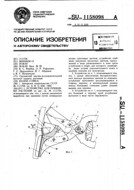 Устройство для прививки растений (патент 1158098)