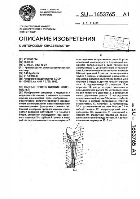 Парный протез нижних конечностей (патент 1653765)