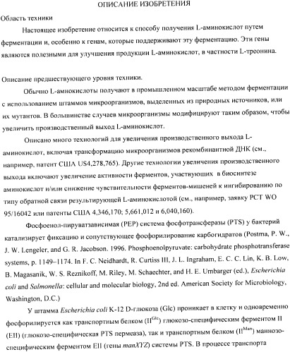 Мутантная iib/iic субъединица глюкозоспецифической пермеазы системы pts, фрагмент днк, бактерия, принадлежащая к роду escherichia, - продуцент l-треонина и способ получения l-треонина (патент 2335536)