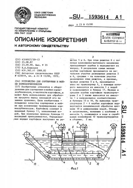 Устройство для сортировки и мойки корнеклубнеплодов (патент 1593614)