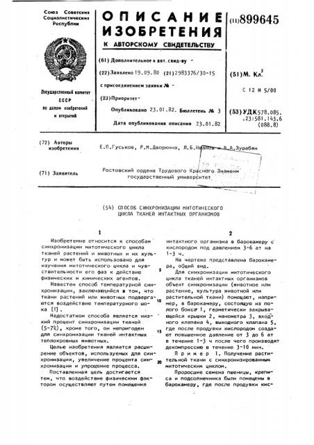 Способ синхронизации митотического цикла тканей интактных организмов (патент 899645)