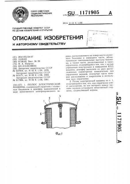 Полюс электрической машины (патент 1171905)