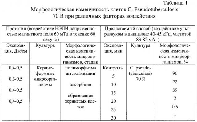 Способ определения морфологической изменчивости и устойчивости клеток коринебактерий (патент 2264464)