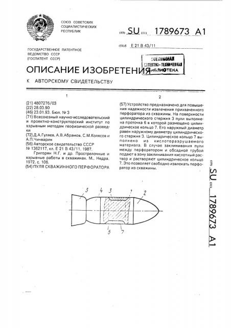 Пуля скважинного перфоратора (патент 1789673)