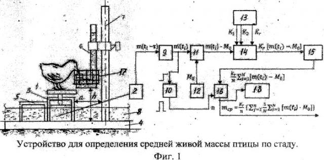 Способ и устройство для определения средней живой массы бройлеров по стаду при их напольном содержании (патент 2515382)