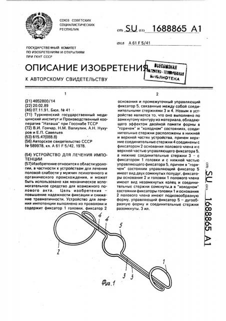 Устройство для лечения импотенции (патент 1688865)