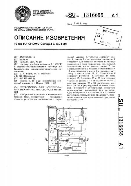 Устройство для исследования механических свойств мышцы (патент 1316655)