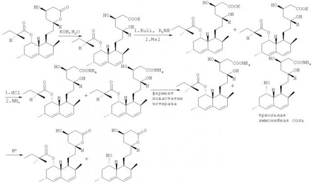 Фермент ловастатин эстераза, иммобилизованный на твердом носителе, способ иммобилизации фермента, биокатализируемый проточный реактор и способ очистки симвастатина (патент 2475538)