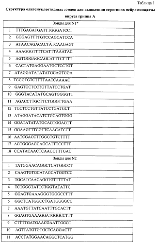 Биочип и способ типирования генов гемагглютинина и нейраминидазы вируса гриппа а (патент 2560591)