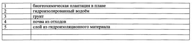 Способ переработки твёрдых измельчённых бытовых и (или) производственных отходов на биогеохимической плантации (патент 2640875)