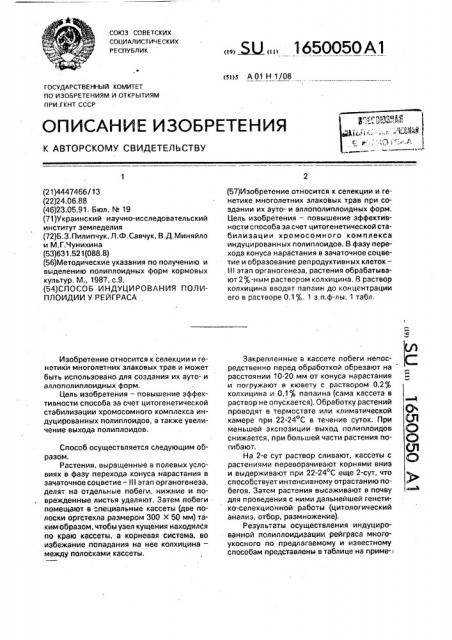 Способ индуцирования полиплоидии у рейграса (патент 1650050)