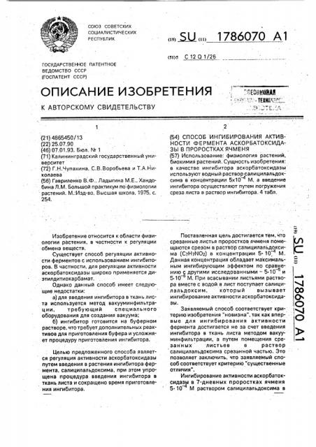 Способ ингибирования активности фермента аскорбатоксидазы в проростках ячменя (патент 1786070)