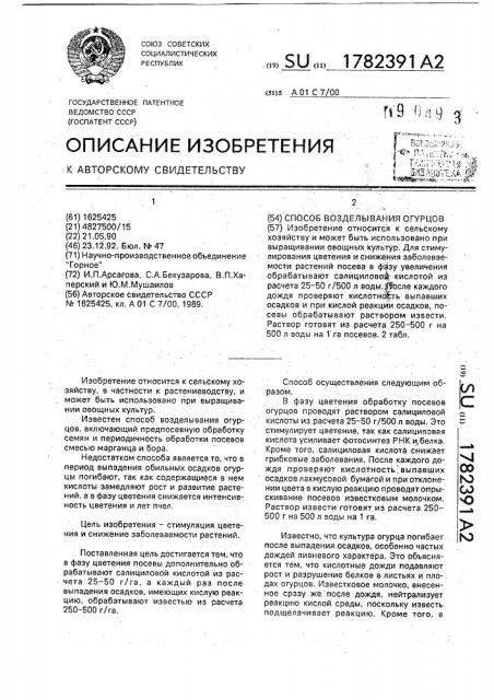 Способ возделывания огурцов (патент 1782391)