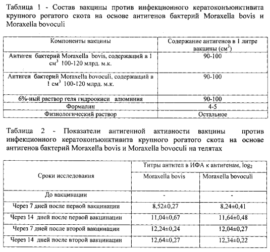 Вакцина против инфекционного кератоконъюнктивита крупного рогатого скота на основе антигенов бактерий moraxella bovis и moraxella bovoculi (патент 2589819)