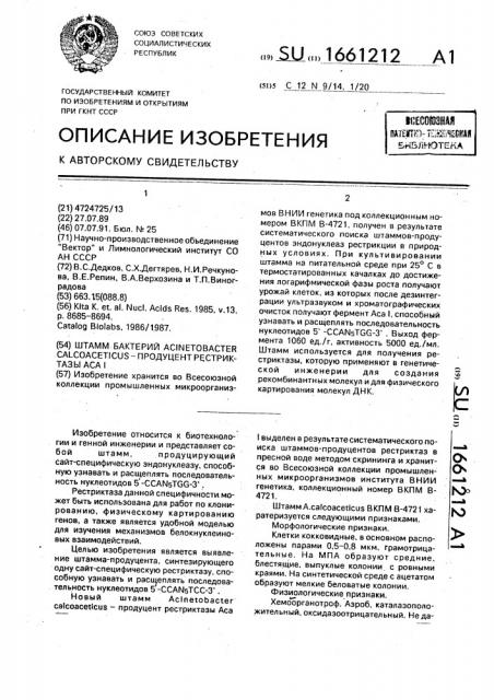 Штамм бактерий асinетовастеr саlсоасетiсus продуцент рестриктазы аса 1 (патент 1661212)